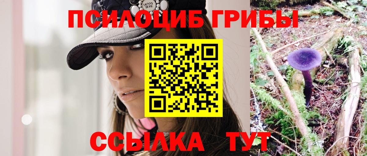 Якутск  Псилоцибиновые грибы Cubensis  Вход с VPN  Галлюциногенные грибы Cubensis 